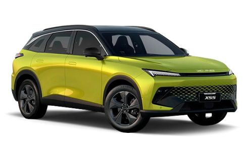 Baic X55 Люкс / Luxury