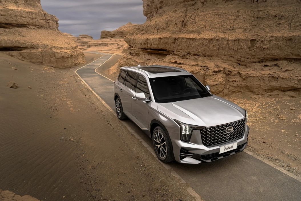 GAC GS8 GX 2.0 АКПП фото 3