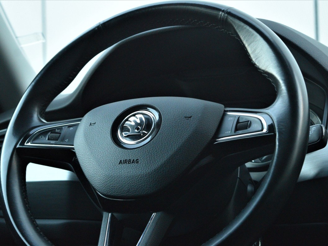Skoda Kodiaq Ambition 2.0 DSG, 2019 фото 20